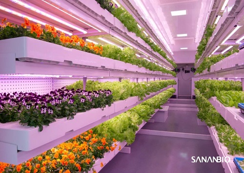 LED植物照明，何時春再來？